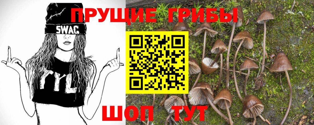 Шарыпово  Псилоцибиновые грибы мицелий  Вход с VPN  наркота  Псилоцибиновые грибы ЛСД 